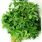 Fenugreek (Methi) /kg