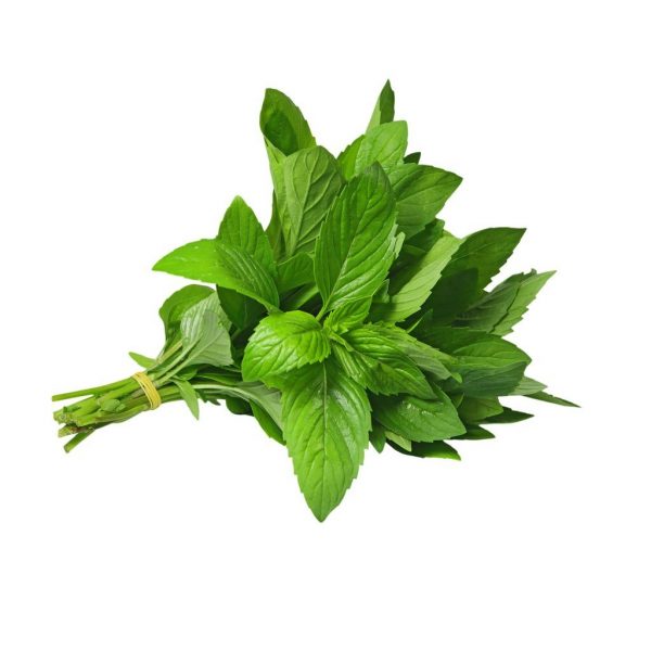 Peppermint (Podina) /packet
