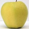 Apples (Saib) white /kg