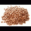 Masoor Whole Dal (1 kg)
