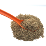Carom Seeds (Ajwain / اجوائن)