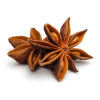Star Anise (بادیان کا پھول)
